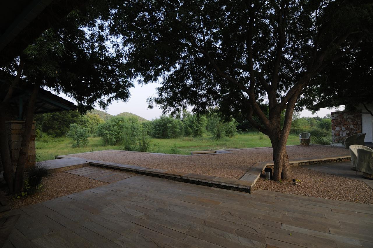 Trees N Tigers Luxury Wildlife Lodge Akbarpur  Exterior photo